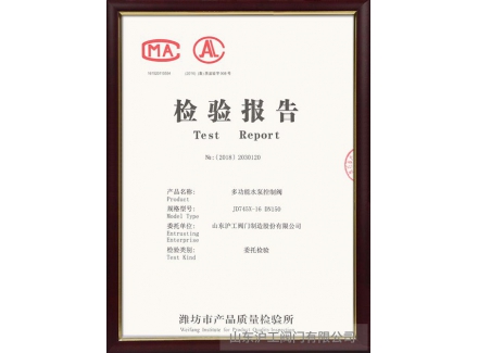 檢驗(yàn)報告